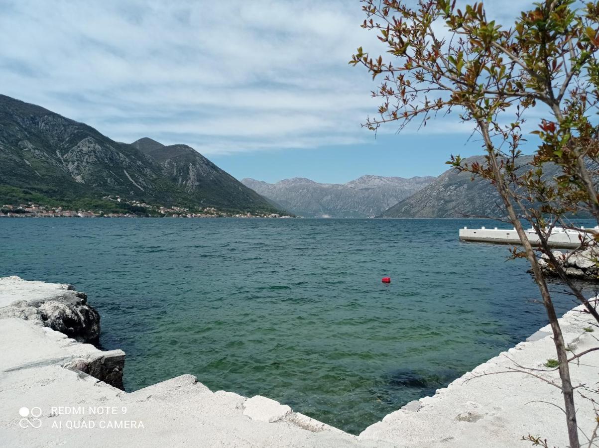 Apartman Milena 1 Cattaro Esterno foto